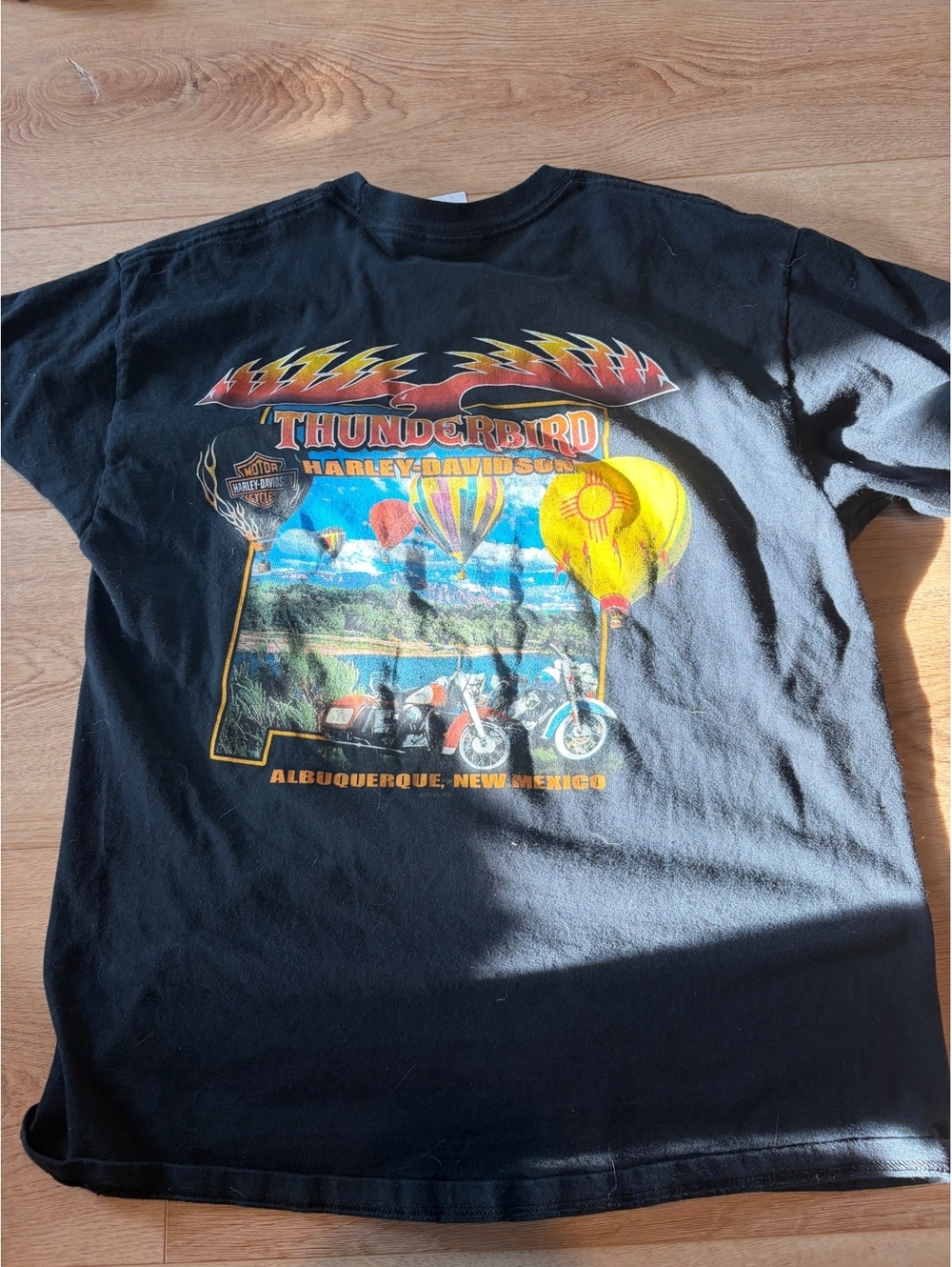 harley davidson shirt